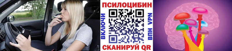 Галлюциногенные грибы ЛСД  Пущино 